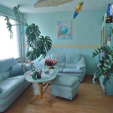 Puikus Apartamentai 阿利图斯 外观 照片