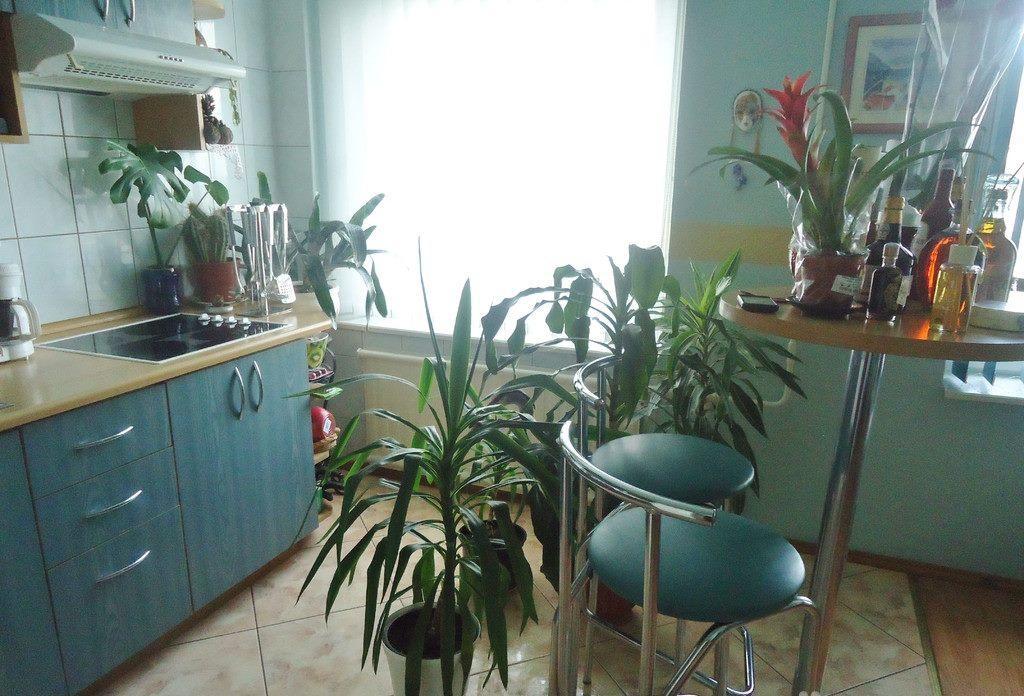 Puikus Apartamentai 阿利图斯 外观 照片